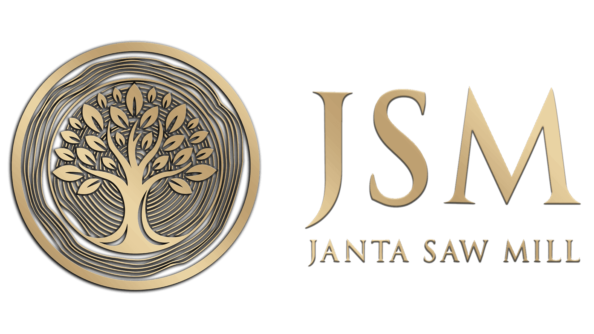 JSM Logo